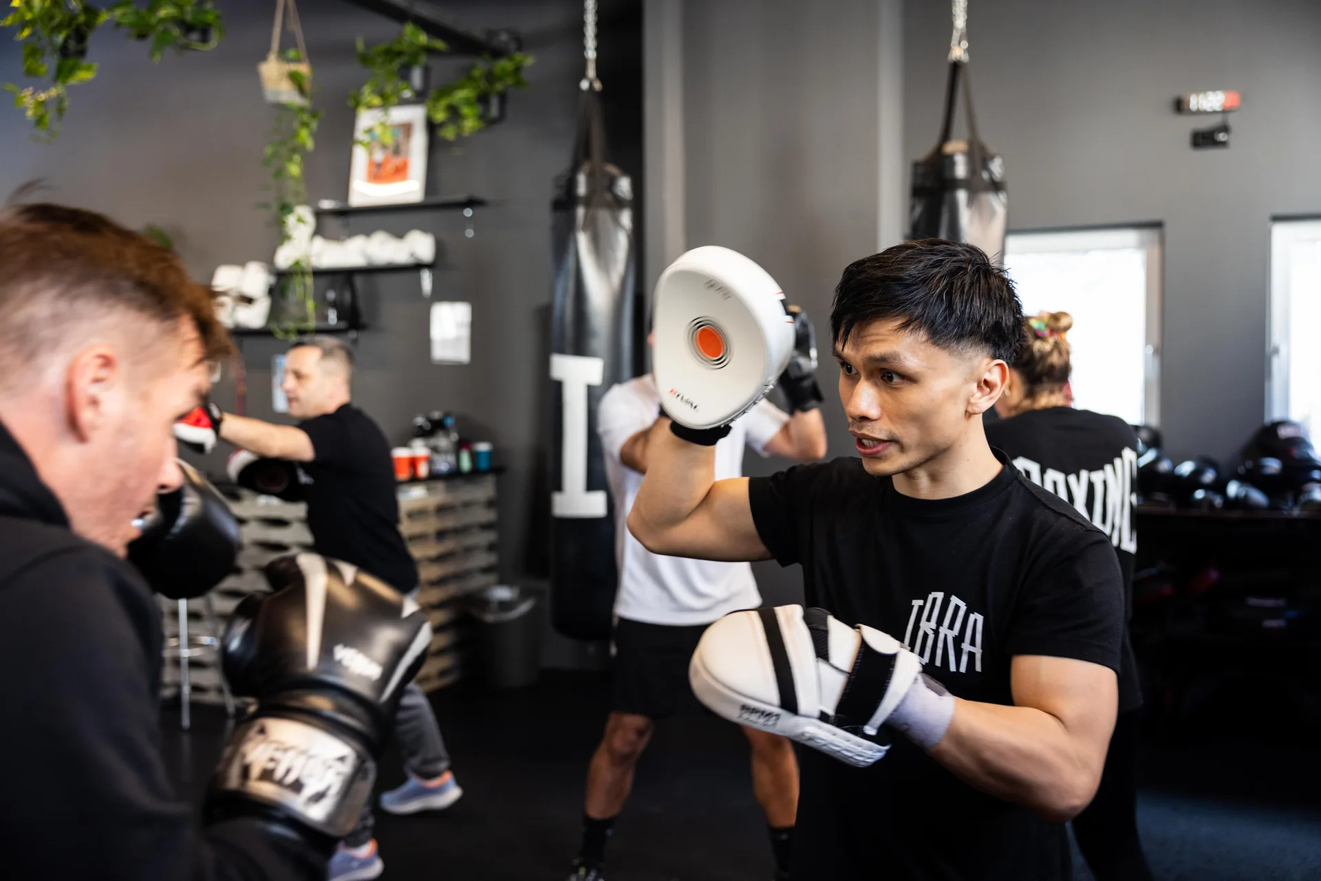 IBRA BOXING