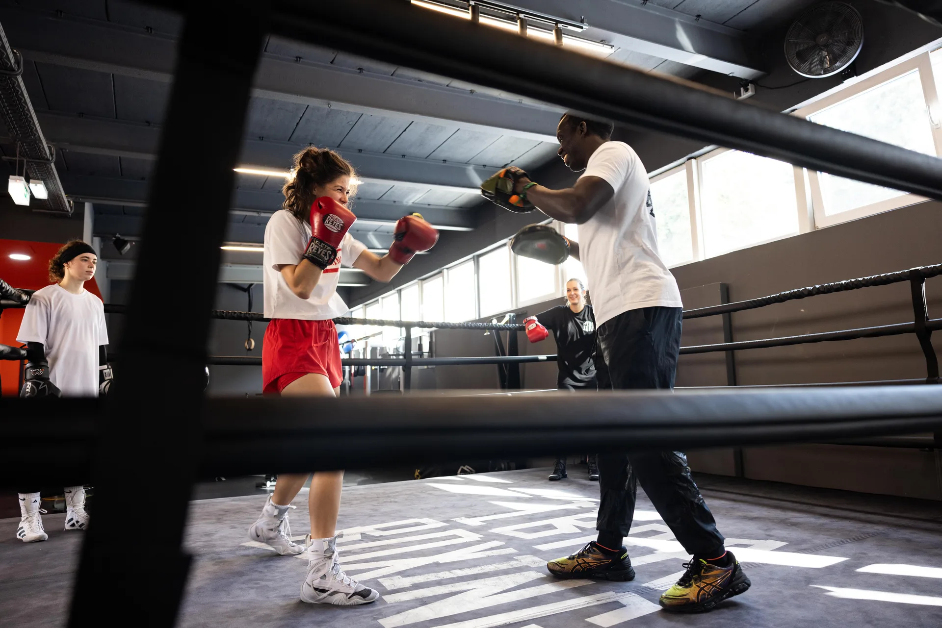 Probetraining Boxen Frankfurt