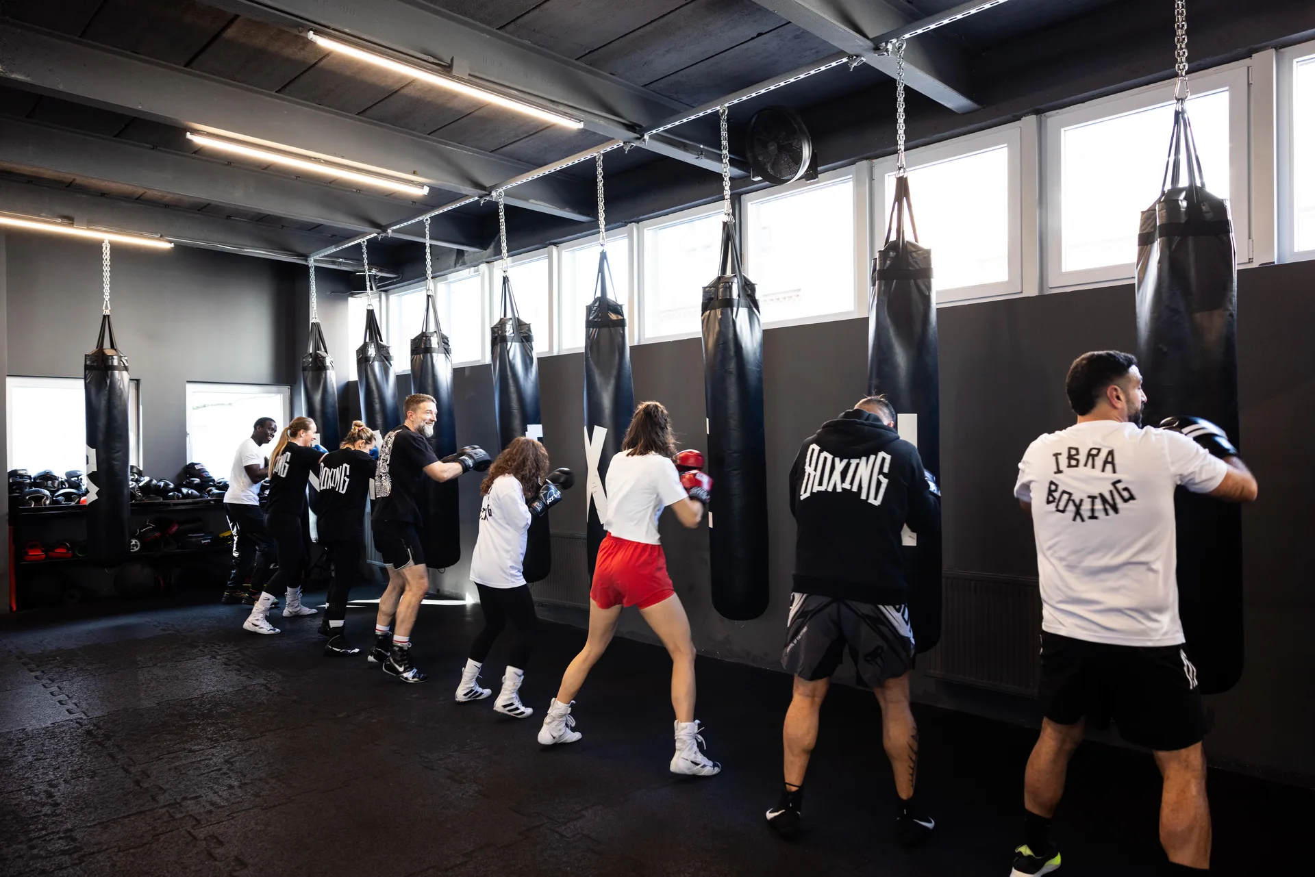 IBRA BOXING