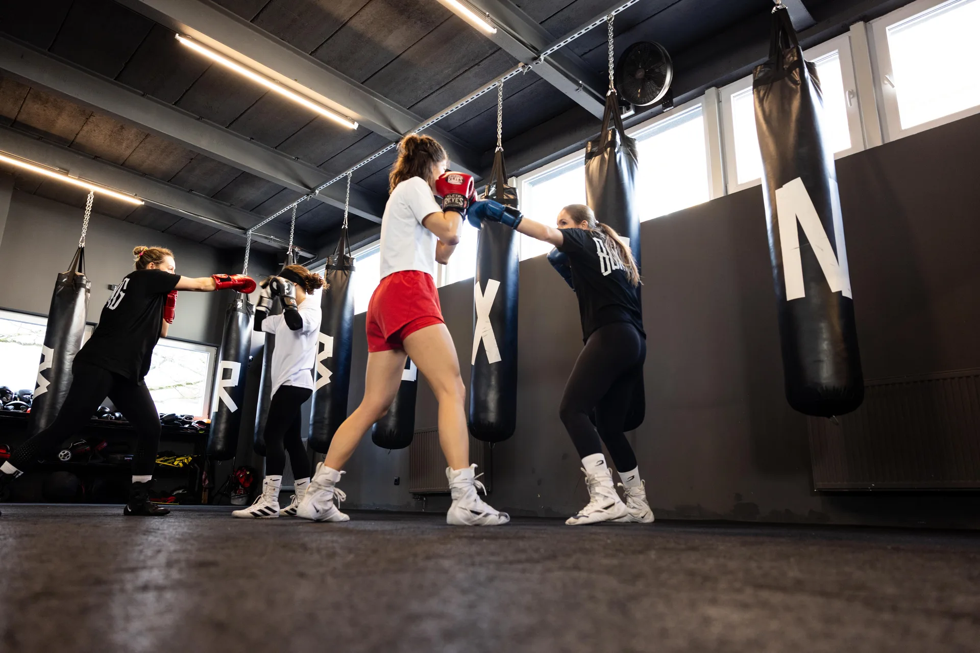 IBRA BOXING
