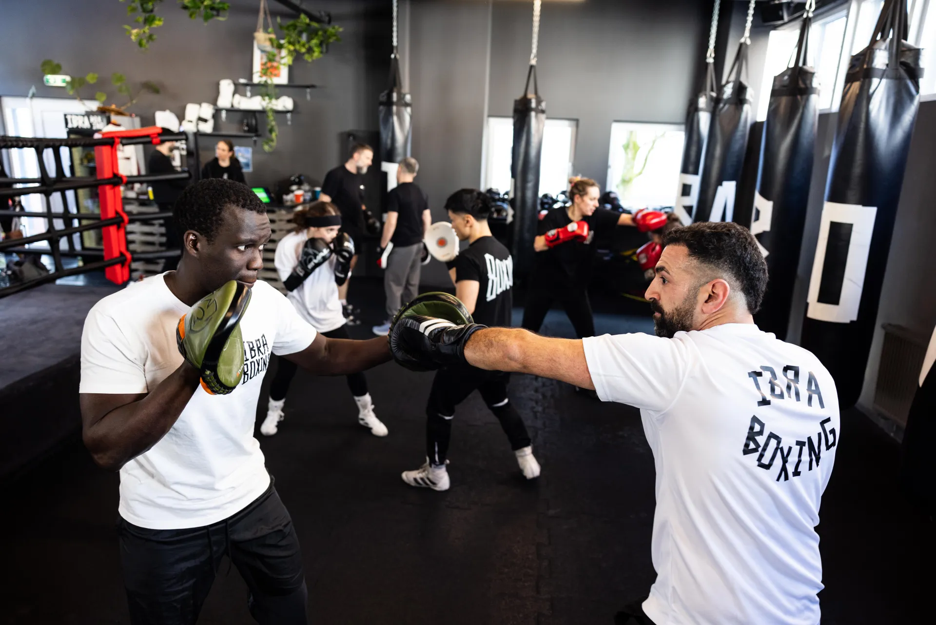 IBRA BOXING Training
