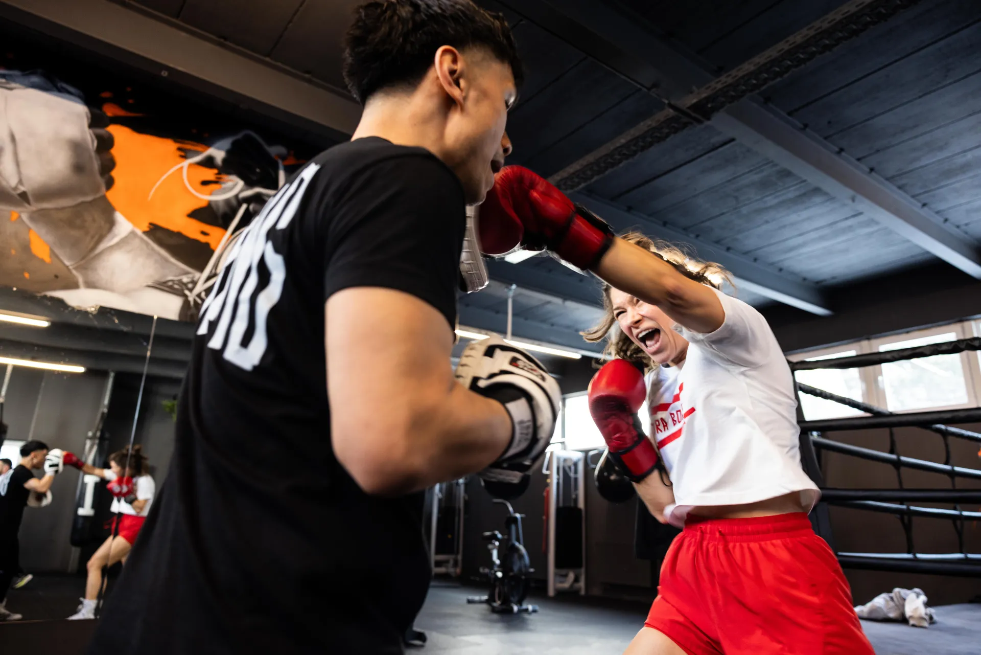 IBRA BOXING Frankfurt